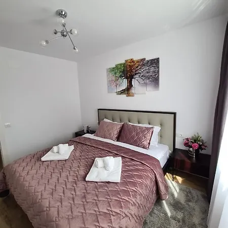 Apartment Luxury 2 Bedroom Brasov