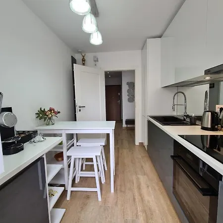 Luxury 2 Bedroom Brasov