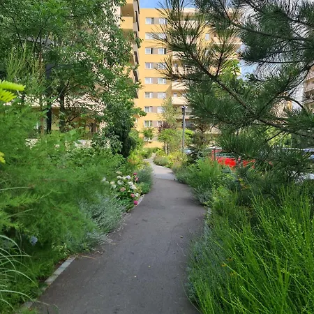 Luxury 2 Bedroom Brasov