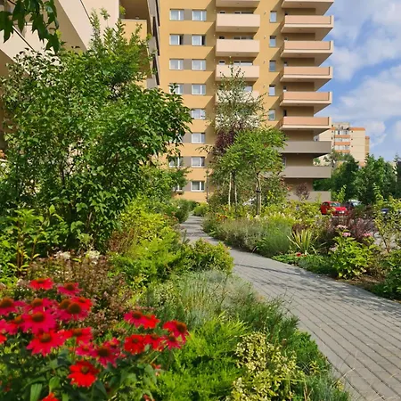 Апартаменты Luxury 2 Bedroom Брашов